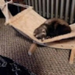 Meet your Posher, Tania